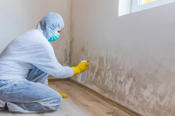 Mold Remediation specialist working in Wade
